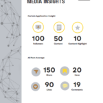 Vavatu Social Media Insights Report